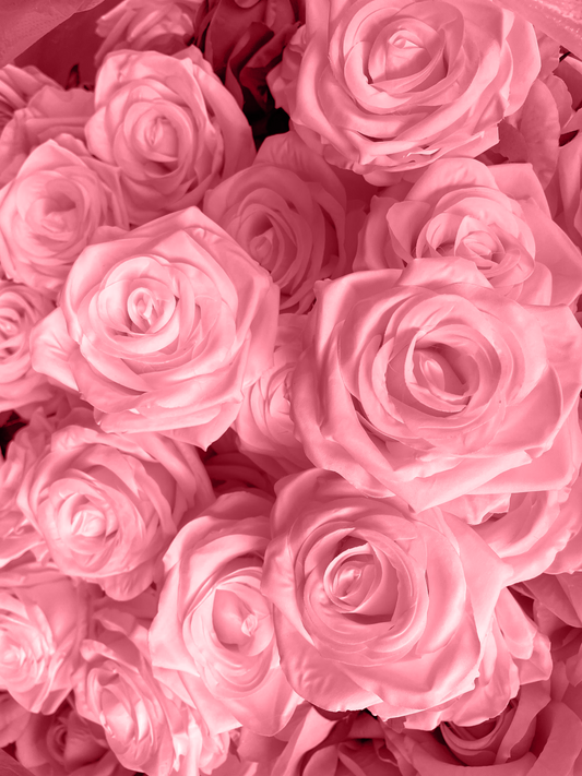 Wholesale - Pink Roses 25 pcs Packed