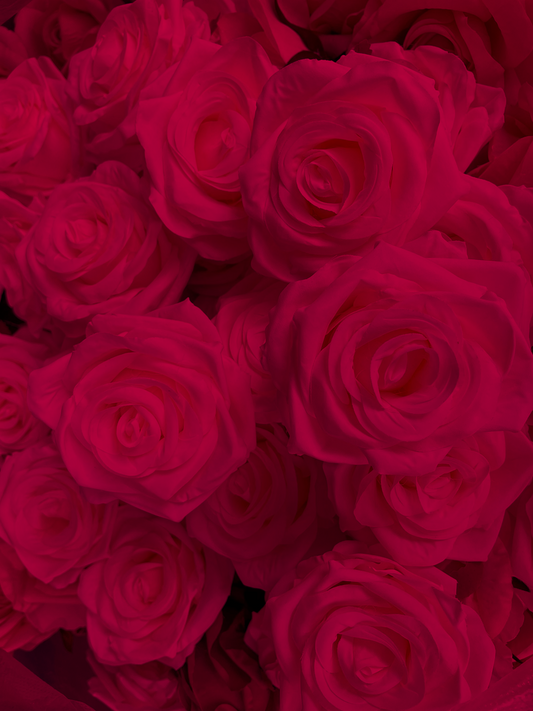 Wholesale - Red Roses 25 pcs Packed