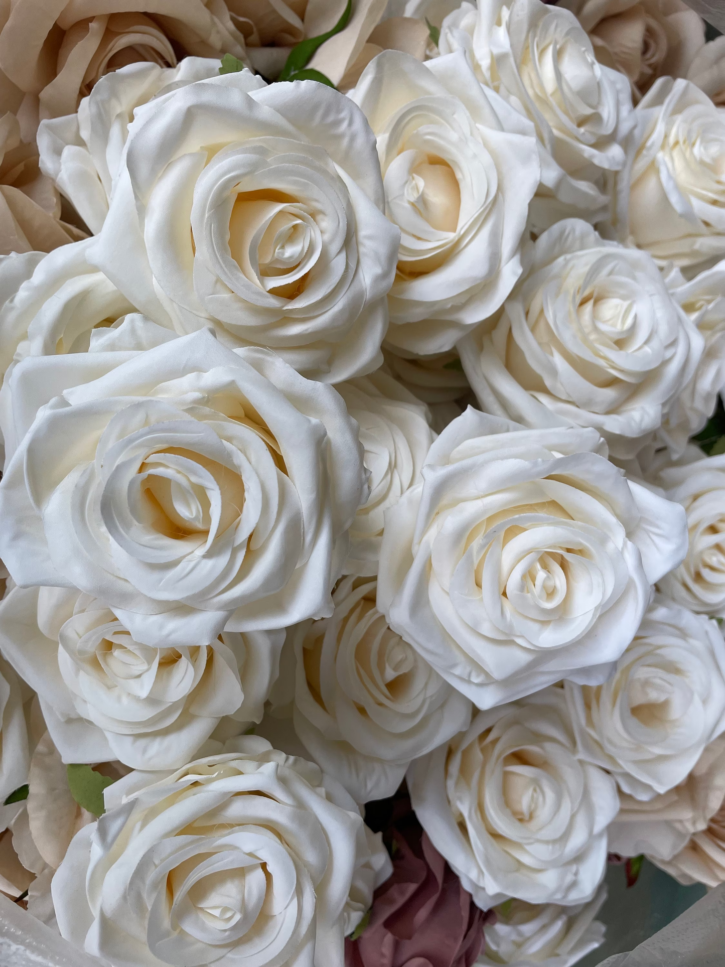 Wholesale - White Roses 25 pcs Packed
