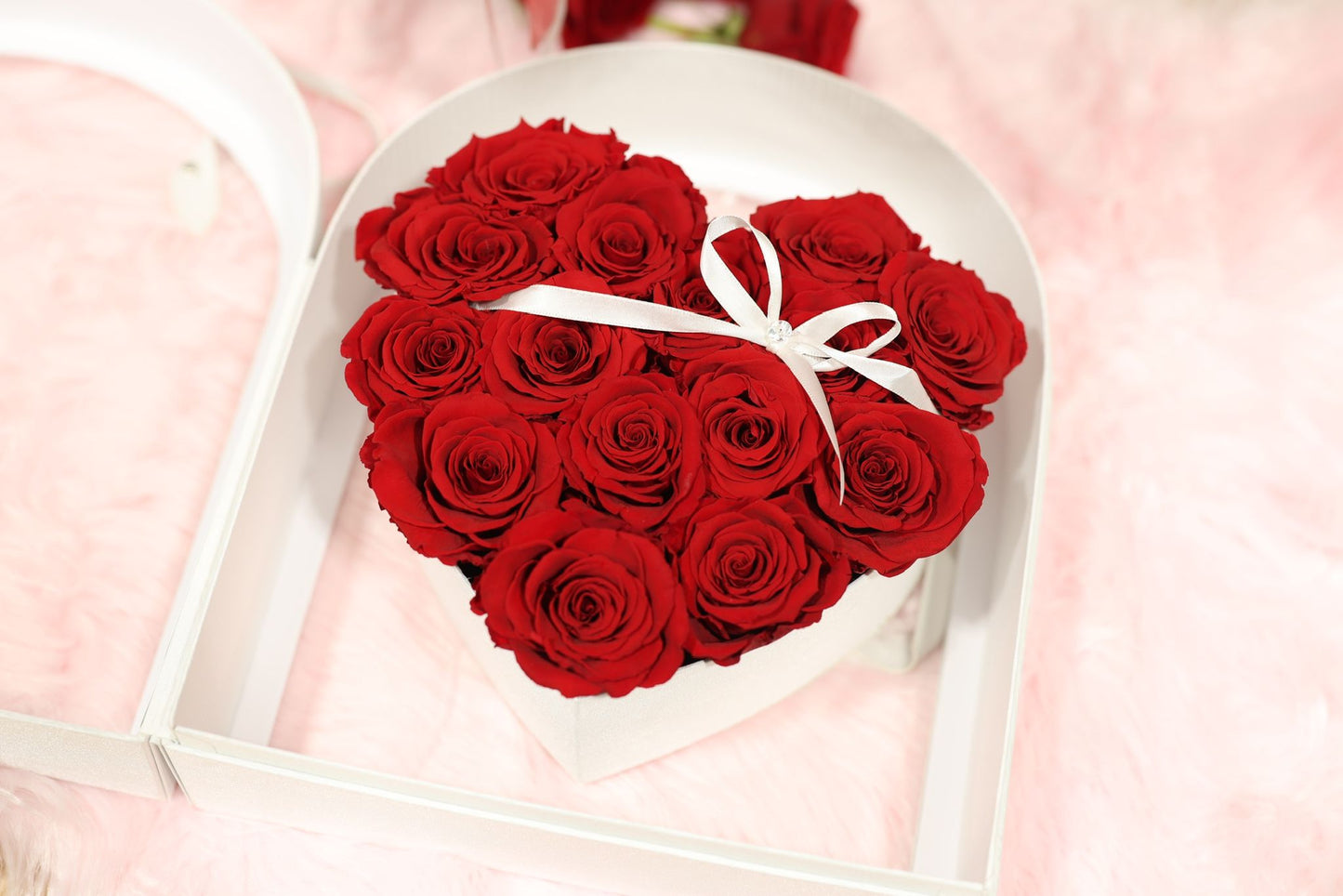 Timeless Love - 16 Roses in a Box